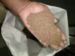 Fish Feed Manufacturers in India