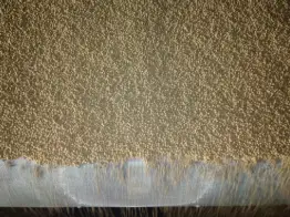 Fish Feed Manufacturers in India